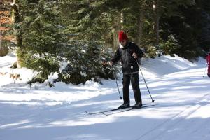 Campings Volcans Vacances Les Chalets Du Lac : photos des chambres