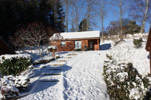 Campings Volcans Vacances Les Chalets Du Lac : Chalet 2 Chambres