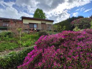 Bungalow blühende Oase