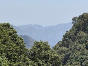 Pangot Himalayan View Hotel