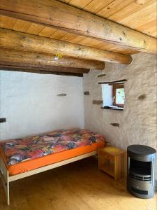 Chalet Indemini
