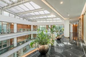 Luxury Apartament Szervita