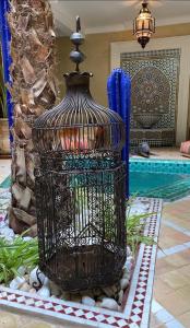 Riad Dar Cactus Bleu