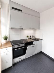 Serene 2-Bedroom Apartment in Chne-Bougeries, Switzerland