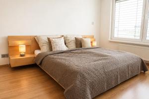 Large two-room apartment near city centre