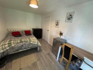 Euston Station and Central London Spacious Flat
