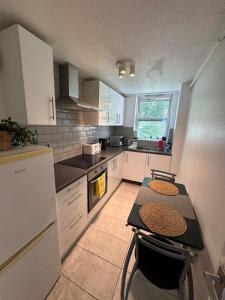 Euston Station and Central London Spacious Flat