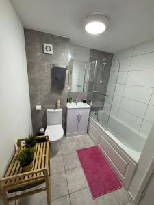 Euston Station and Central London Spacious Flat