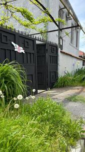 Guesthouse Story