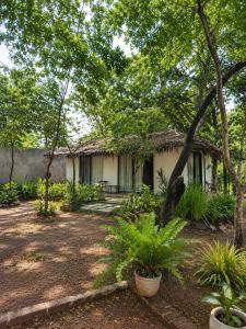 Myla Lodge