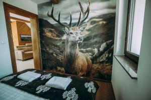 Apartament CEKO 2