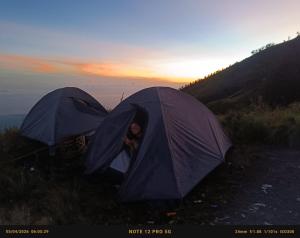 Eddie Hostel Tetebatu