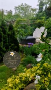 Inner Harmony Garden