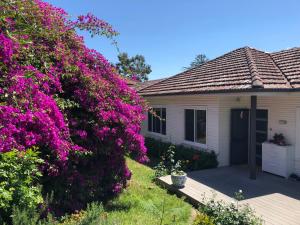Tranquil Garden View Room Macquiare Marsfield Eastwood Guest House