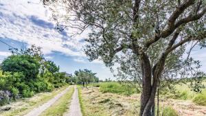 Apartman Petar by Villas Guide