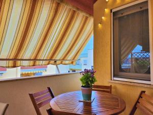 Anemone Apartment img15