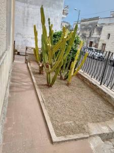 Affitto nel cuore del Salento
