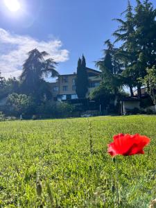 Villa Milena