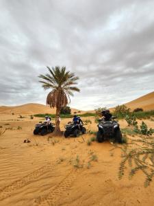 Starlight Dunes Camp