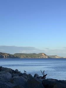 Seascape Lyme Sea views 2 min walk to front