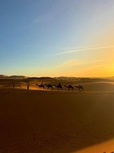 Grand Dunes Luxury Camp