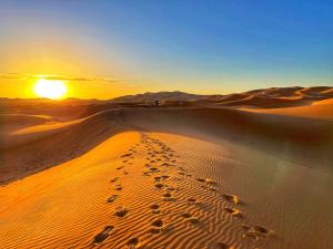 Grand Dunes Luxury Camp
