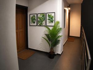 Casa Amancio