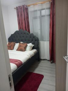 Diangas Nest Kilimani