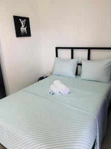 Plata View Center Habitacion 2D
