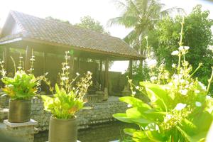 Y Van Cac Homestay Ninh Binh Art Heritage Rice Field