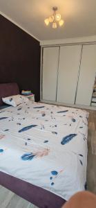 Apartment 2 bedrooms matrimoniale