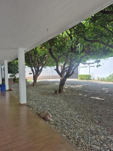 caribepremiumvalledupar