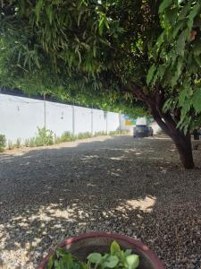 caribepremiumvalledupar