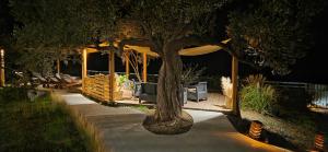 Actaea Villa