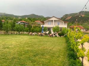 Villa Rejan