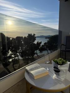 Luxury apartment Alexandar