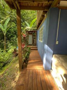 Calm jungle retreat