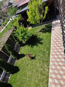 Casa Valentin