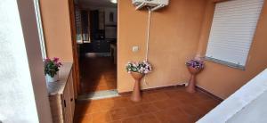 Cavallucci Marini img11