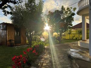 Meti guest house