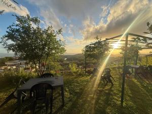 Meti guest house