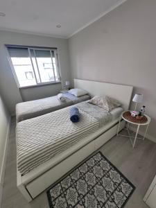 Rooms Moscavide quartos