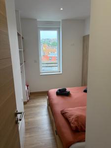 Appartement cosy 4 personnes proches des remparts et de la vielle ville