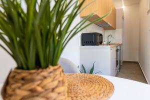 Elysian Luxury Suites in Chania