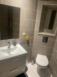 Logement F2 avec piscine
