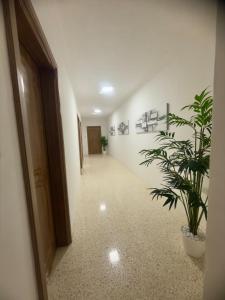 3 Bdr Apart with Terrace 5 min walk to the beach