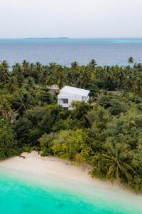Kashiveli Omadhoo