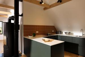 Design-Wohnung am Waldrand mit Dachterrasse und Blick auf das Achterwasser