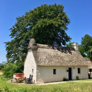 Fairytale Welsh thatched cottage with hot tub - VEGETARIAN