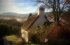 Fairytale Welsh thatched cottage with hot tub - VEGETARIAN